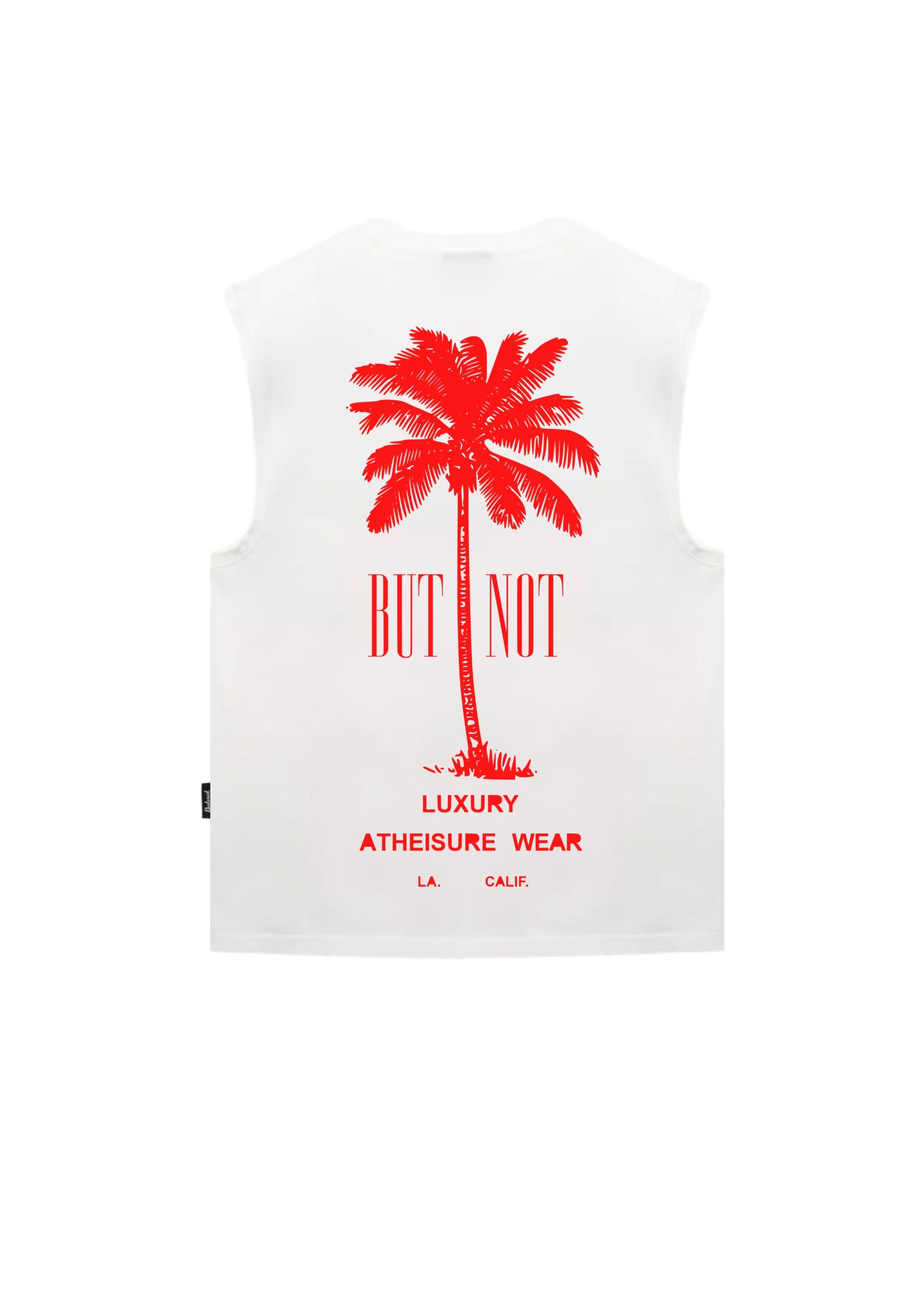 CANOTTA BUTNOT PALM